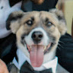 Meet your Posher, Cameron